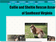 Tablet Screenshot of collieandsheltierescue.com